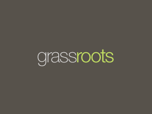 GrassRoots Theme