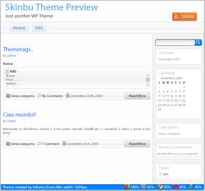 Skinbu Theme